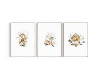 Láminas de anatomía otorrinolaringológica: Decoración para consultorio de otorrinolaringólogo (descarga instantánea)