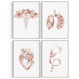 Decoración de consultorio médico, juego de arte médico, regalo de graduación de médico, regalo de graduación de la facultad de medicina, regalo de médico, regalo de estudiante de medicina, estampado floral