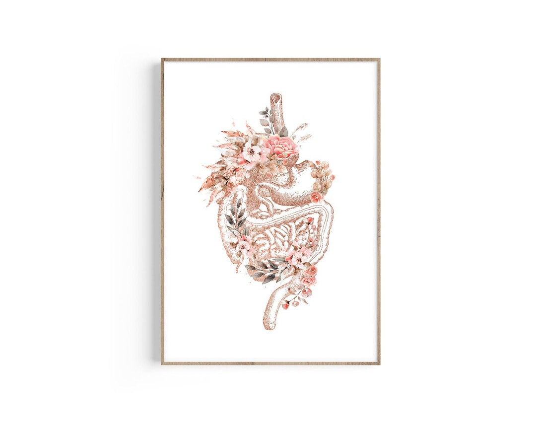 Digestive System Anatomy, Stomach Anatomy Art, Gastroenterologist Gift ...
