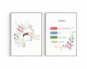 May include: Two framed art prints. One features a gold outline of the human vocal tract with labels and floral accents. The other print displays the word "Voyelles" and lists vowel categories with color-coded bars and floral decorations.