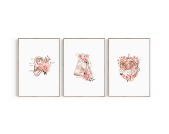 Láminas de anatomía otorrinolaringológica: Decoración para consultorio de otorrinolaringólogo (descarga instantánea)