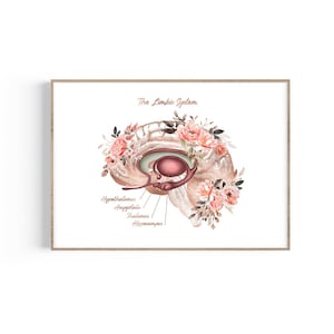 Brain Limbic System Art Print, Psychology Art, Brain Anatomy Art, Psychology Office Decor, Neurologist Gift, Psychologist Gift, Brain Poster