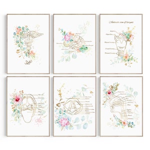May include: Set of six printable art prints featuring watercolor floral illustrations with gold anatomical drawings of the human body. The prints include the medical symbol, the larynx, the pharynx, the mouth, and the brain.