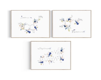 Pode incluir: Três impressões de aquarela de estruturas químicas para serotonina, dopamina e ocitocina, cada uma com embelezamentos florais em tons de azul e dourado.