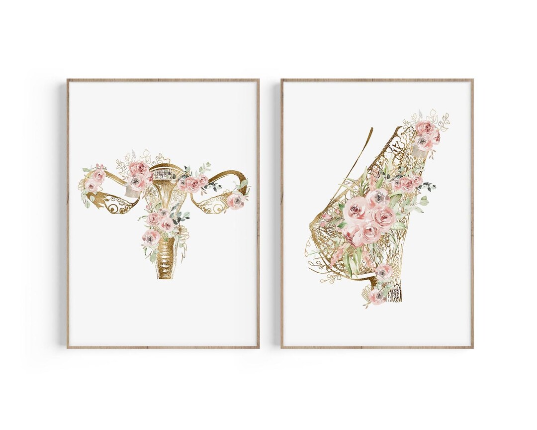 OBGYN Office Decor, Breast Anatomy Art, Mammary Gland Print, Uterus ...