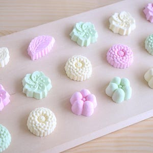 Rakugan - Melt-in-Your-Mouth 18/30 pcs - Your choice of color - Organic Powdered Sugar Higashi Matcha Tea Ceremony Wagashi