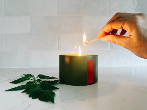 Tomato Vine | Tomato Leaf, Herbs + Moss Soy Candle | Fresh Garden Scent