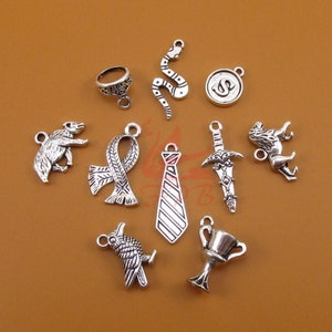 HP Fandom Charms 10 Pieces Set - Mixed Antiqued Silver Plated Charms Collection CC092118