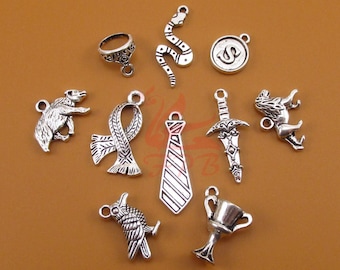 HP Fandom Charms 10 pièces Set - Collection de charms argentés argentés mixtes CC092118