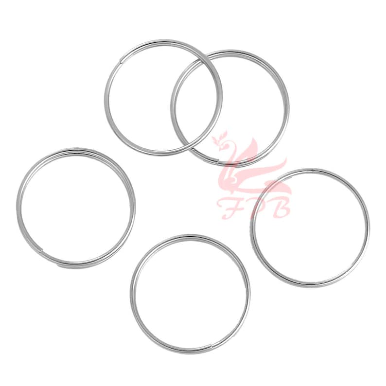 Puede incluir: Cinco llaveros de plata, cada uno con forma circular, est&aacute;n dispuestos en forma circular sobre un fondo blanco.
