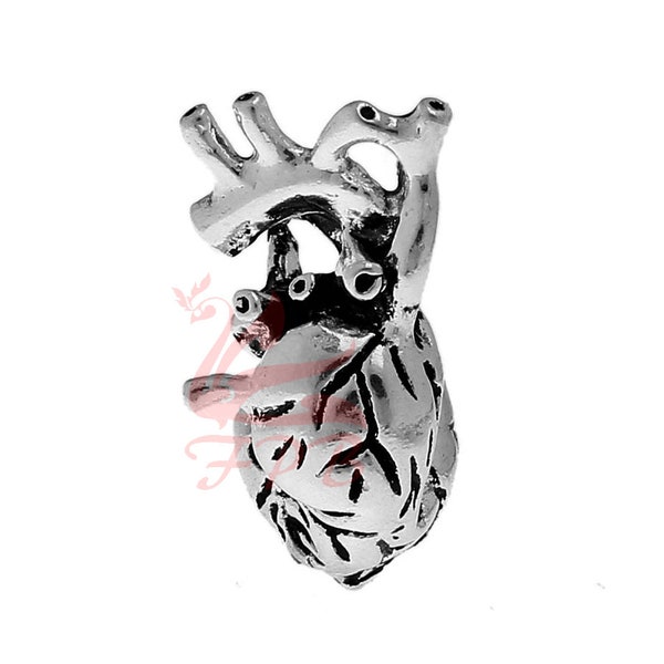 1 Human Heart Charm 27mm 3D Anatomical Heart Antiqued Silver Plated Pendant SC0032660