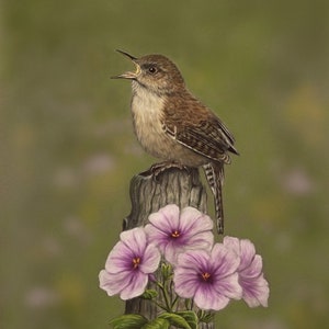 House Wren Art Print, Bird Art, Wren Painting, Home Decor,  Backyard, Cute, Brown, Flower, Nature Print, Garden, Nature Gift, Singing Wren