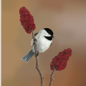 Black-capped Chickadee Art Print, Chickadee Painting, Home Decor, Wall Art, Cute Chickadee, ZalikArts, Nature Print, Winter, Bird Painting