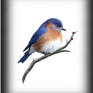 Eastern Bluebird Art Print, Bird Art, Bluebird Painting, Home Decor, Spring, Song, Ladybugs, Blue, Backyard Birds, Wall Art, Nature Print