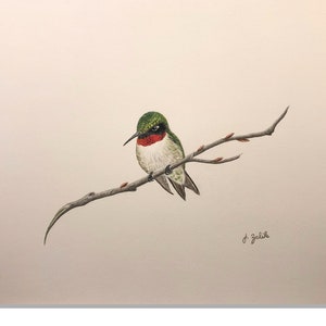 Ruby-throated Hummingbird Art Print, Bird Art, Hummingbird Painting, Home Decor, Feeder, Hummer, Nature Print, Nature Gift, Wall Art,Spring