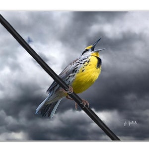 Eastern Meadowlark Art Print, Bird Art, Meadowlark Painting, Home Decor, Backyard Birds, Nature Art, Clouds, Spring Storm, Yellow, Birders