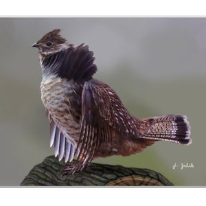 Ruffed Grouse Art Print, Bird Art, Grouse Painting, Home Decor, Forest, Nature, Field, Gamebird, Hunting Art, Spring, Woods, PA State Bird