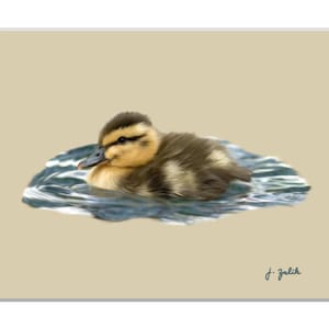 Baby Wood Duck Art Print, Wood Duck Painting, Home Decor, Wall Art, Cute Wood Duck, ZalikArts, Nature Print, Bird Painting, Duckling Art