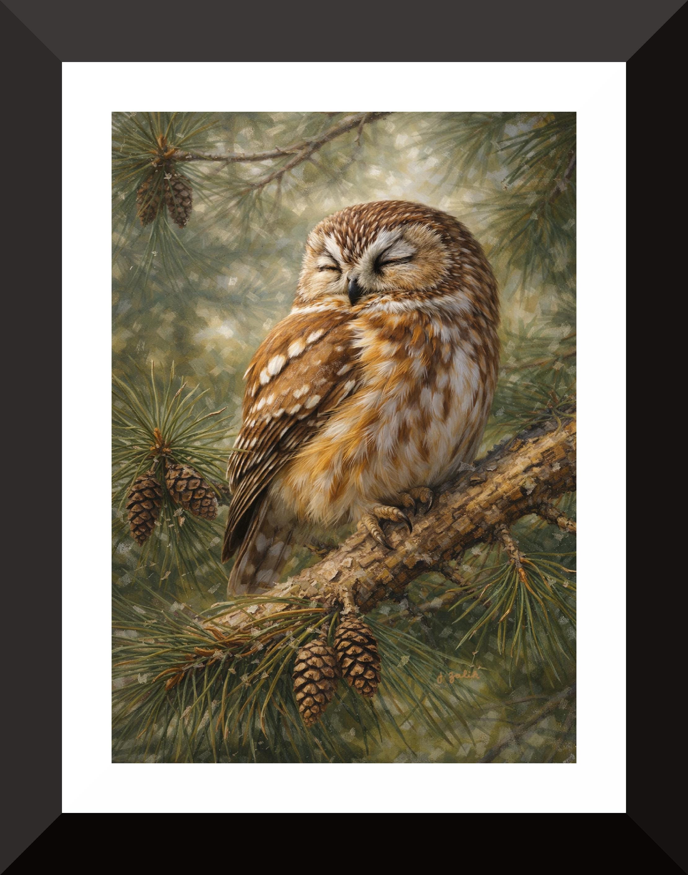 Saw-whet Owl Art Print, Painting, Winter, Owls, Wall Decor, Home Decor, Nature