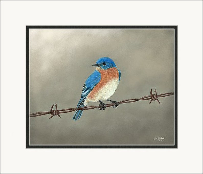 Eastern Bluebird Print Bird Art Painting Home Decor Wall Etsy