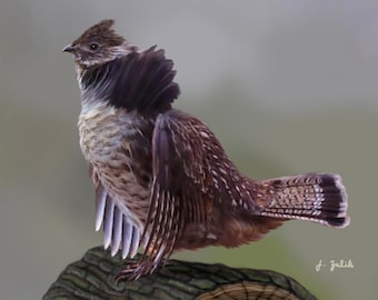 Ruffed Grouse Art Print, Bird Painting, Forest Nature Decor, Hunting