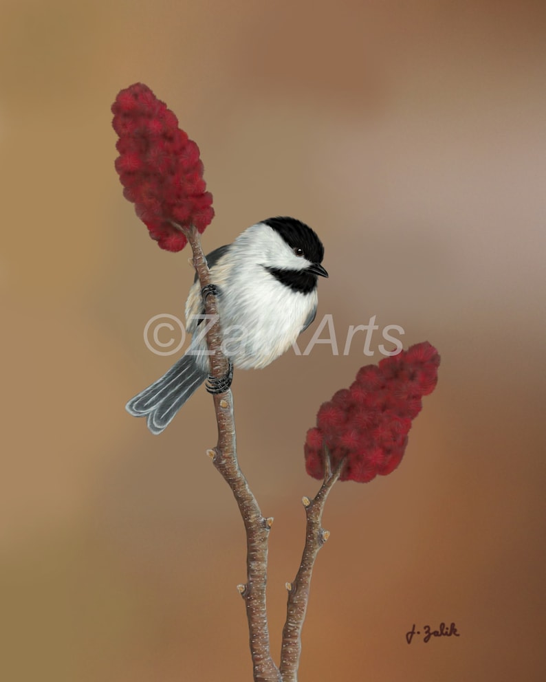 Black-capped Chickadee Art Print, Chickadee Painting, Home Decor, Wall ...