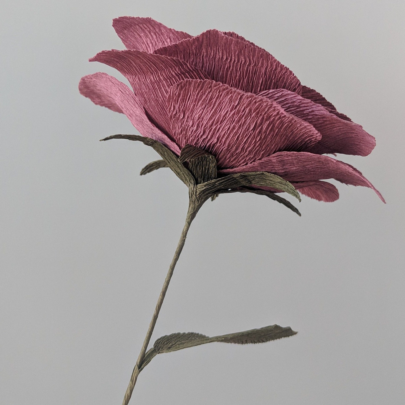 Downloadable Crepe Paper Rose Template/PDF Printable - Etsy México