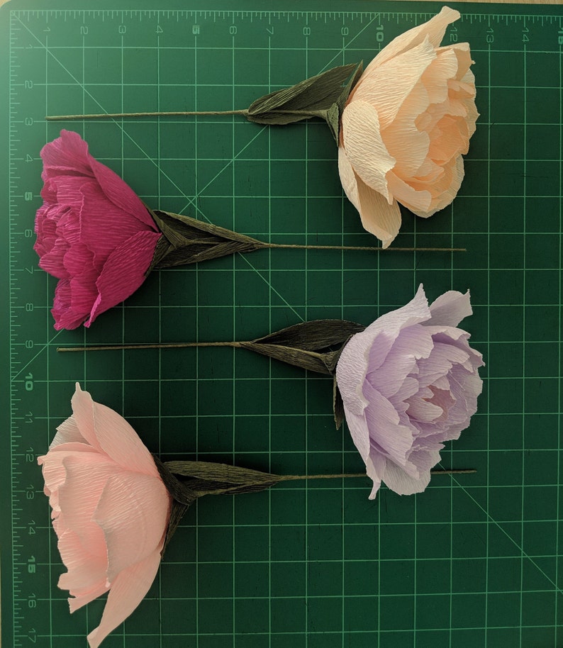 Downloadable Crepe Paper Peony Template/PDF Printable Download/DIY Paper Flower Template/Paper Peony Template/Paper Flower Tutorial image 5