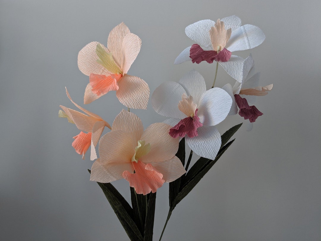Downloadable Crepe Paper Orchid Template/pdf Printable Download/diy