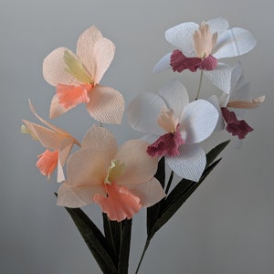 Modello di orchidea di carta crespa scaricabile/PDF stampabile da scaricare/Modello di fiore di carta fai da te/Modello di orchidea di carta/Tutorial per orchidea Dendrobium