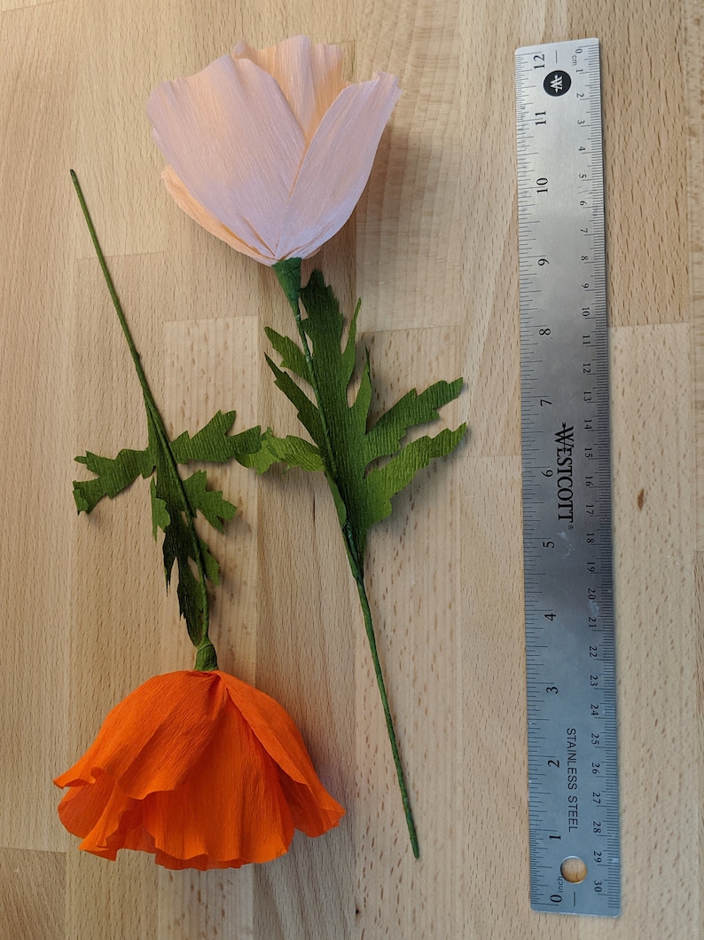 Downloadable crepe paper poppy template pdf printable etsy