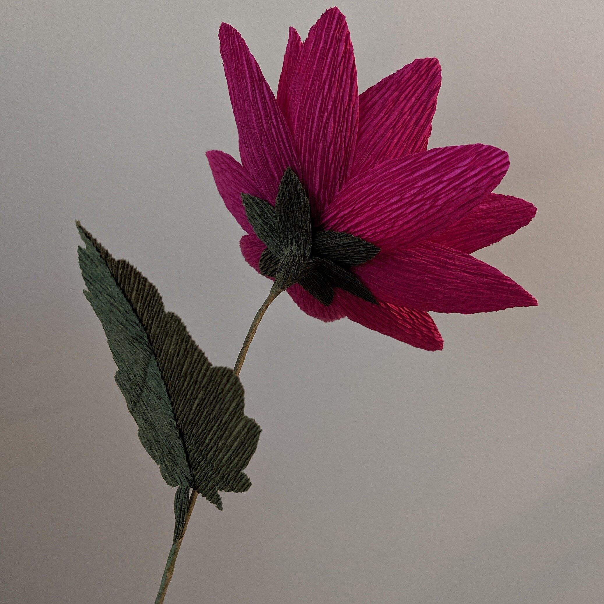 Downloadable Crepe Paper Dahlia Template/pdf Printable - Etsy