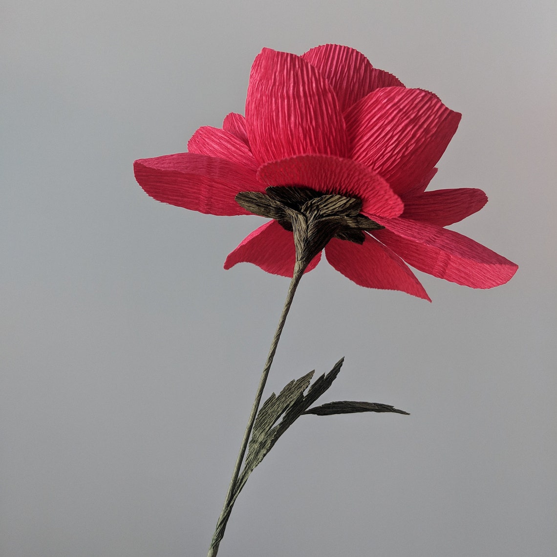 Paper Flower Ranunculus Downloadable Crepe Paper Ranunculus Template/pdf Printable Download/diy ...