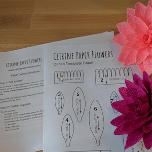 May include: A printable template sheet for making paper dahlias. The sheet includes instructions and diagrams for cutting out the petals and center of the flower. Two finished paper dahlias are shown in pink and magenta.