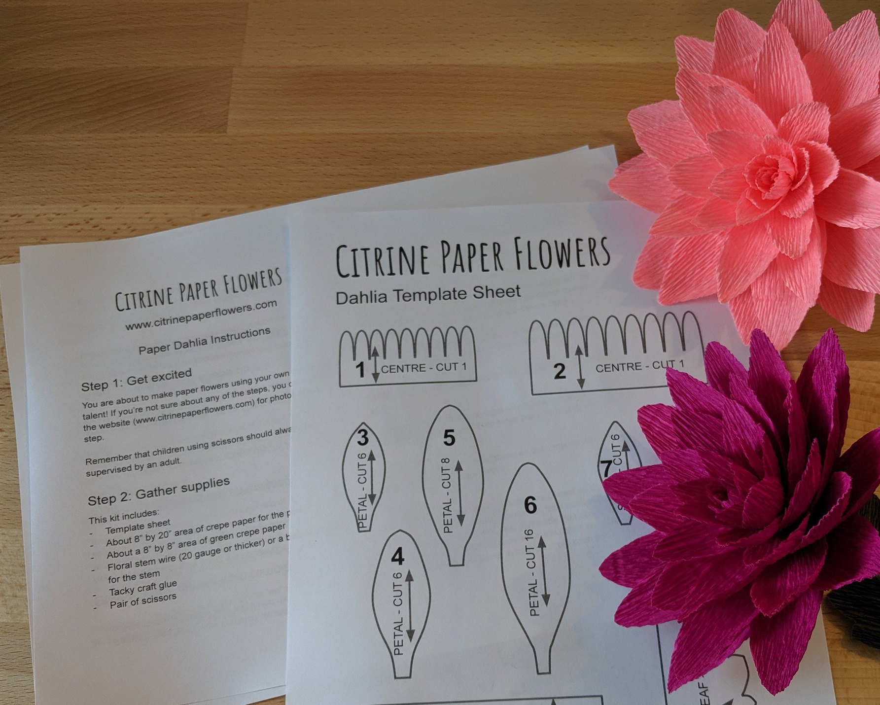 Downloadable Crepe Paper Dahlia Template/pdf Printable - Etsy