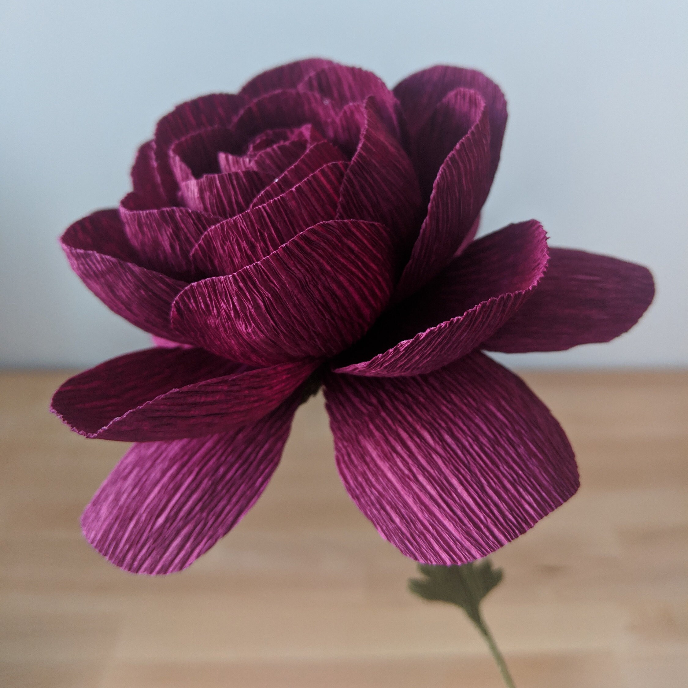 Downloadable Crepe Paper Ranunculus Template/pdf Printable Etsy