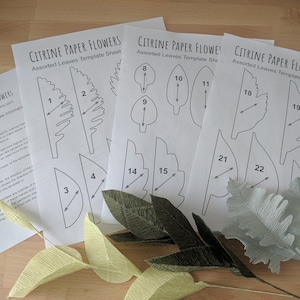 Modello di foglie assortite scaricabile/PDF stampabile scaricabile/Modello di foglie di fiori di carta fai da te/Modello di vegetazione di carta/Tutorial per fiori di carta