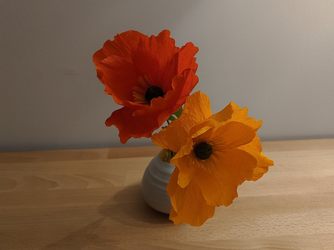 Downloadable Crepe Paper Poppy Template/pdf Printable Etsy