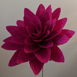 May include: A large, vibrant magenta paper flower with a layered, ruffled texture. The flower is crafted from tissue paper and has a delicate, intricate design.