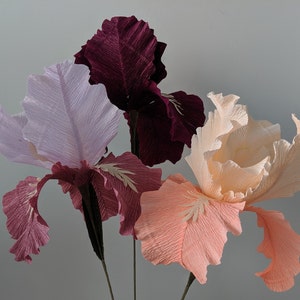 Modello scaricabile di iris in carta crespa/PDF stampabile da scaricare/Modello fai da te per fiori di carta/Modello di iris in carta/Tutorial sul modello di iris barbuto