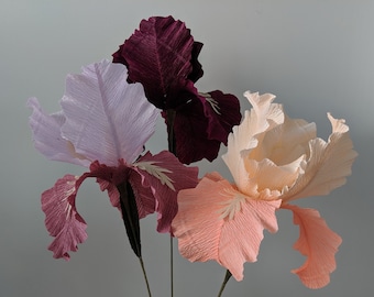 Downloadable Crepe Paper Iris Template/PDF Printable Download/DIY Paper Flower Template/Paper Iris Template/Bearded Iris Template Tutorial