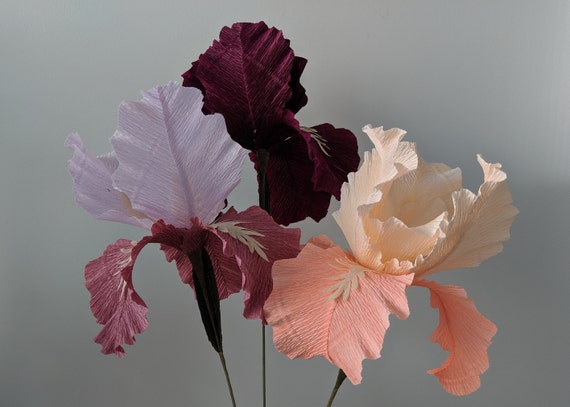 downloadable crepe paper iris template pdf printable download diy paper flower template paper iris template bearded iris template paper iris flower