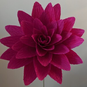 May include: A large, magenta paper flower with many layers of petals. The flower is made of crinkled paper and has a spiral center.