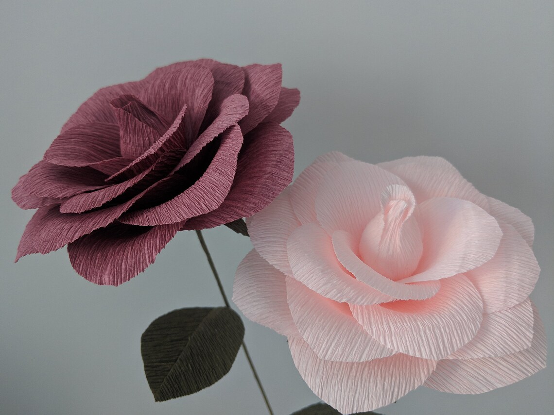 Downloadable Crepe Paper Rose Template/pdf Printable - Etsy