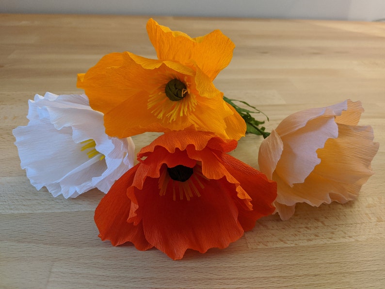 Downloadable Crepe Paper Poppy Template/PDF Printable Download/DIY Paper Flower Template/Paper Poppy Template/Paper Flower Tutorial image 4