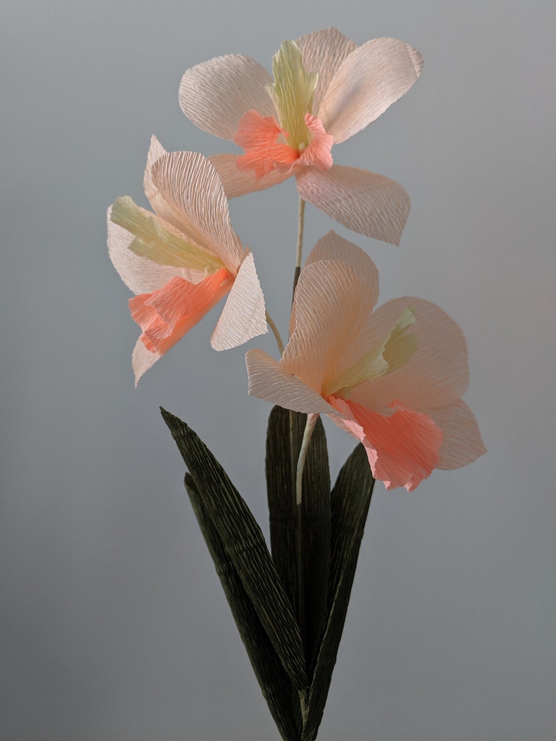 Downloadable Crepe Paper Orchid Template/pdf Printable Etsy