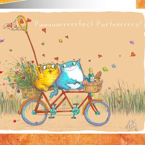 2 adorabile, amare i gatti fuori in bicicletta nella campagna fresca, tranquilla. Sii felice