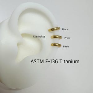 20g 18g 16g Dainty Hoop, ASTM F-136 Implant Grade Titanium Hinged Clicker