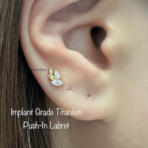 20g 18g 16g Laurel Branch Top Push-In Threadless Titanium Labret, Laurel leaf Marquise Implant Grade Titanium Cartilage, Conch, Helix