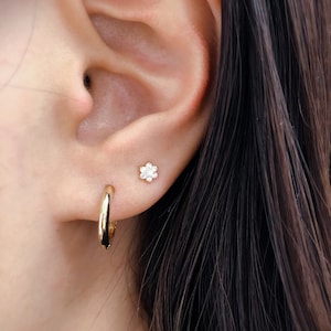 14k Solid Gold Huggie Hoop Earrings - 12mm Pair
